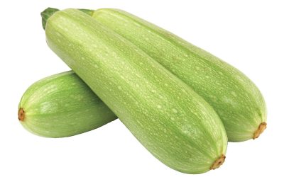 Zucchino bianco F1