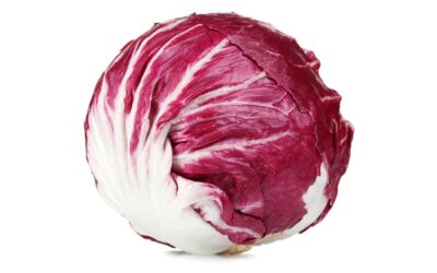 Radicchio Rosso a palla